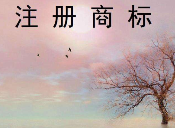 注冊商標(biāo)的費用，注冊商標(biāo)怎么辦？