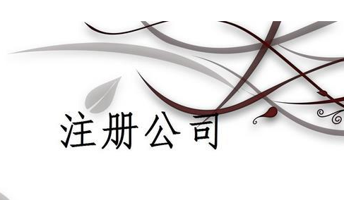 注冊(cè)公司選擇什么企業(yè)類型？